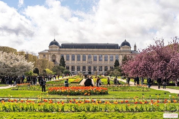 Vue du Musée d’Histoire Naturelle, situé dans le Jardin des Plantes, un lieu emblématique du 5ᵉ arrondissement de Paris.