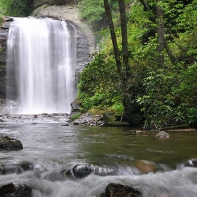 Cascade naturelle au cœur d’un environnement boisé
