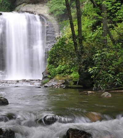 Cascade naturelle au cœur d’un environnement boisé
