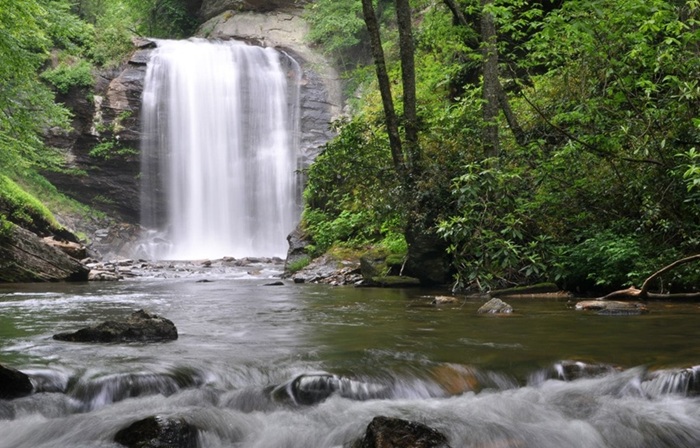 Cascade naturelle au cœur d’un environnement boisé