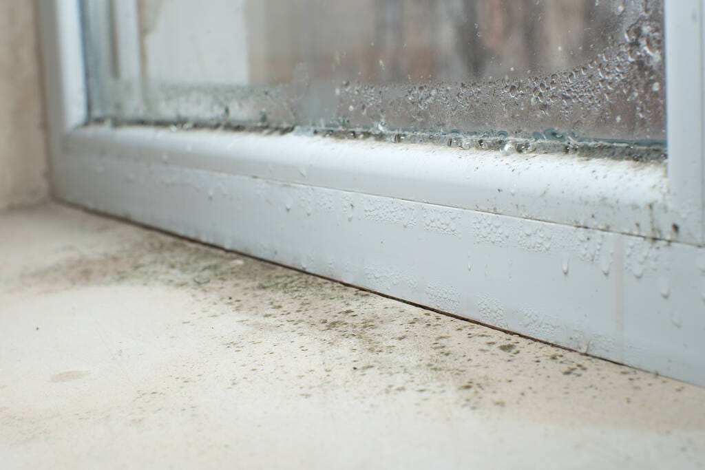 Condensation sur une fenêtre révélant un appartement mal isolé